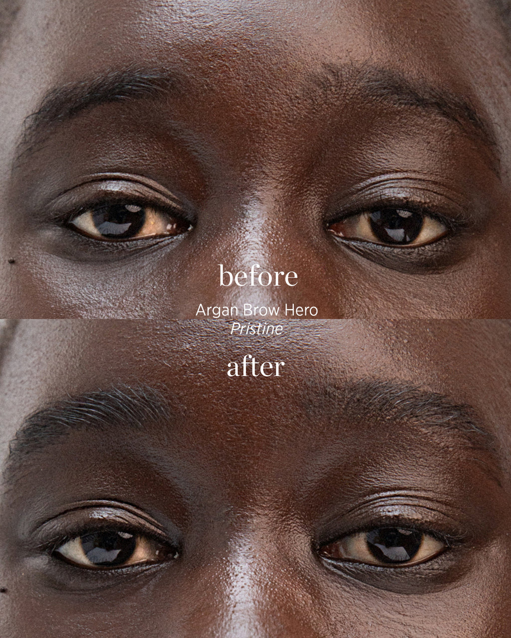 Argan Brow Hero