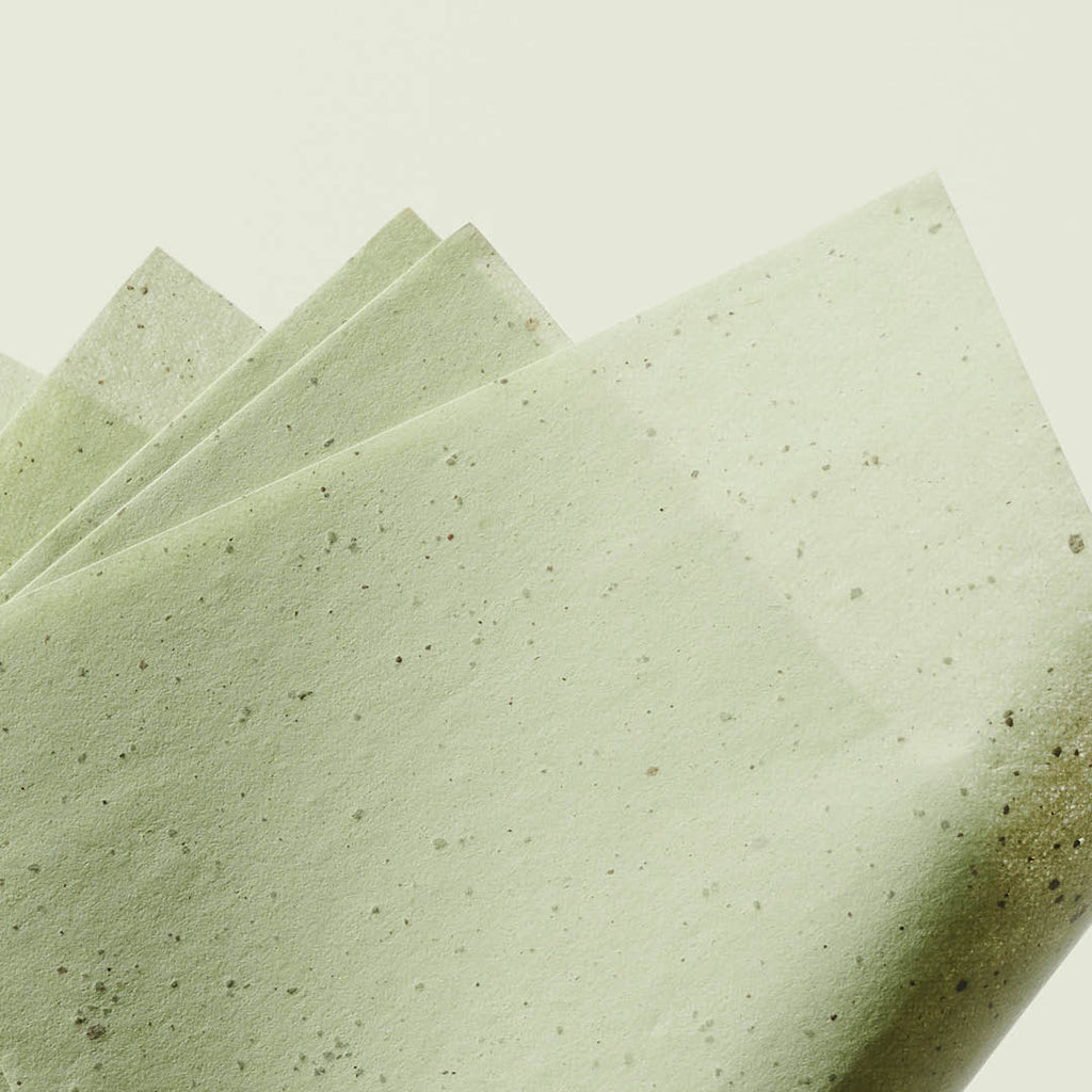 Green Tea Oil Control Paper