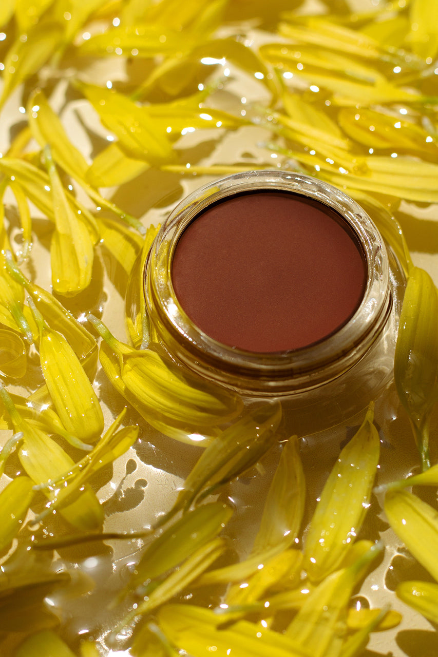 Arnica All-cover Pot