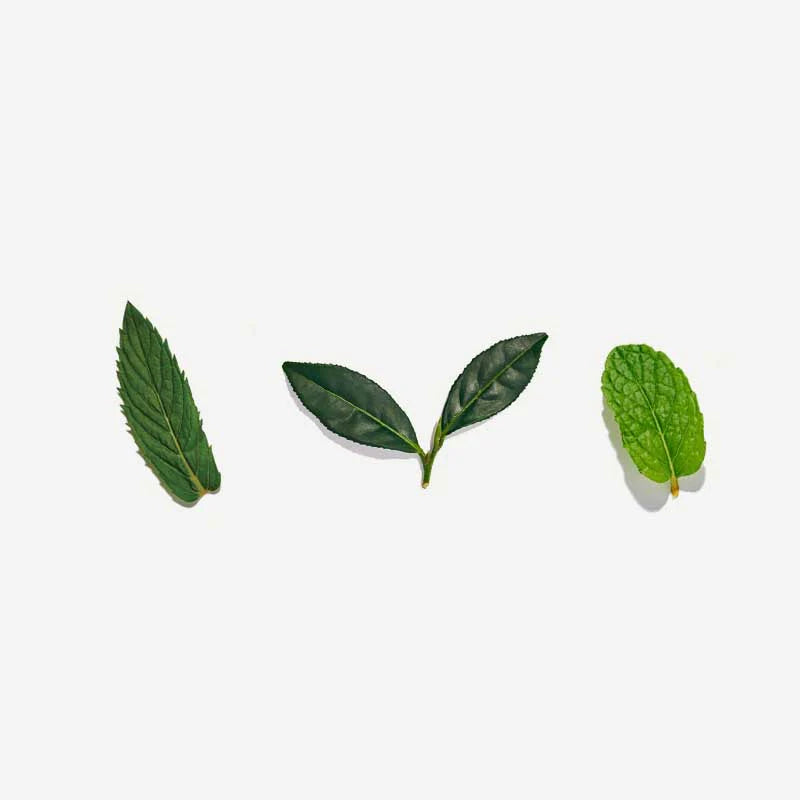 Moroccan Mint Pyramid Tea Bags