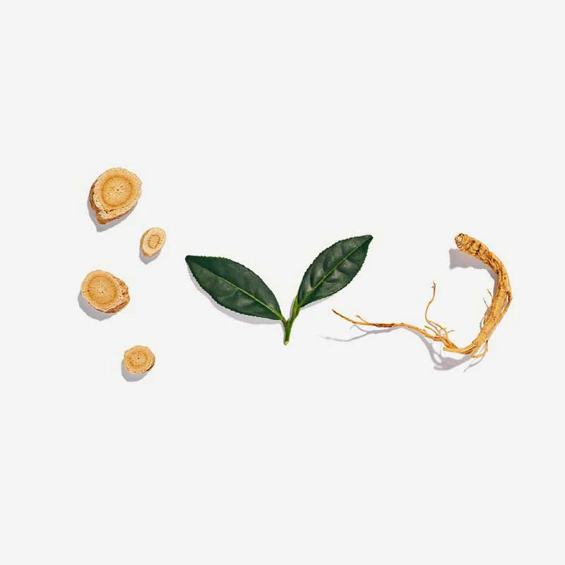 Vitality Pyramids Pyramid Tea Bags